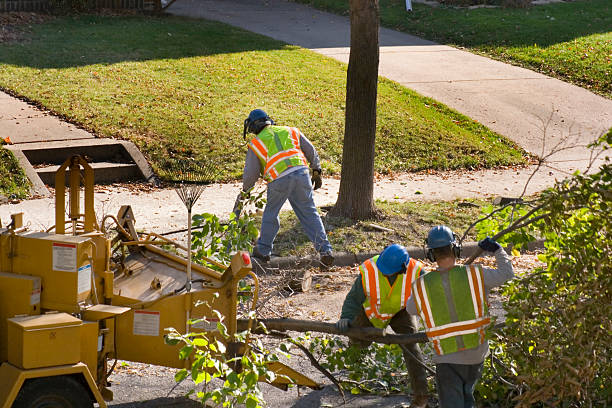 Seasonal Cleanup (Spring/Fall) in Bennet, NE